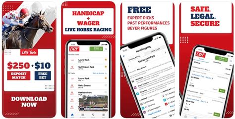 drf bets app